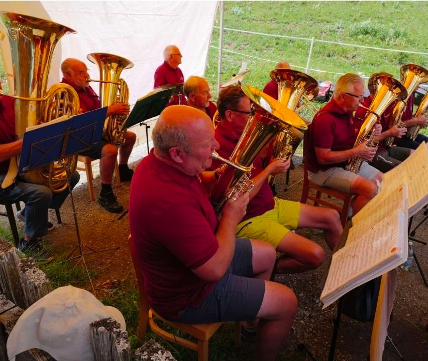 A group of older men in red shirts and shorts are playing tubas in an outdoor setting.