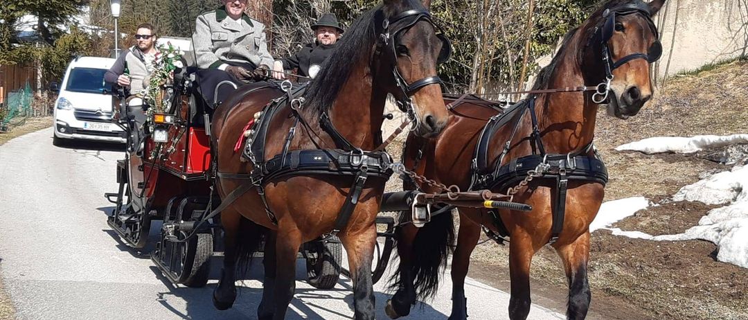 Bild enthält, Vehicle, Wagon, Horse Cart, Adult, Male, Man, Person, Horse, Car, Carriage