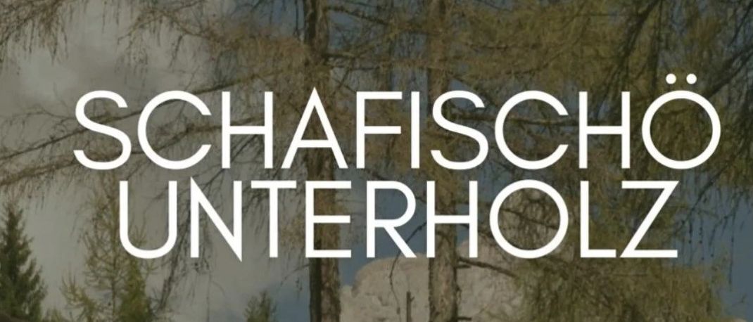 Eine Zusammenkunft im Freien mit Schafen in einem Berggebiet. Eine Gruppe von Menschen sitzt lächelnd auf dem Boden. Der Text auf dem Plakat lautet Schaffischo Unterholz 06. September - 12:00 Uhr.