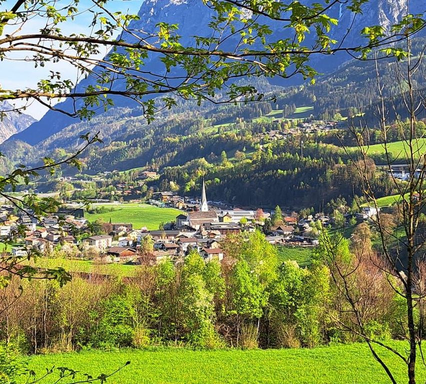 Bild enthält, Grass, Nature, Outdoors, Scenery, Tree, Grassland, Landscape, Meadow, Pasture, Vegetation