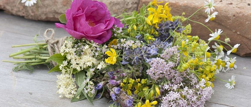 A vibrant bouquet of various flowers including roses, lavender, and daisies, arranged on a concrete surface with large stones in the background.