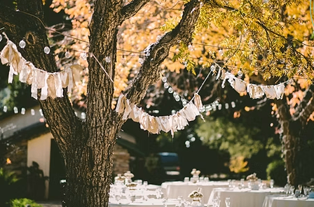 Bild enthält, Autumn