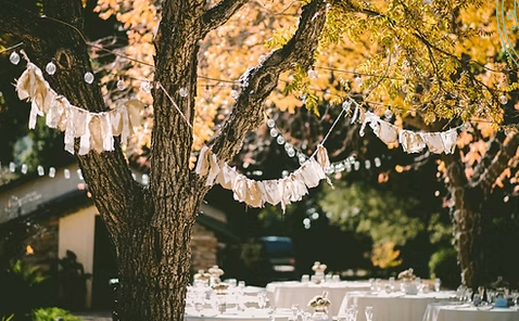 Bild enthält, Autumn