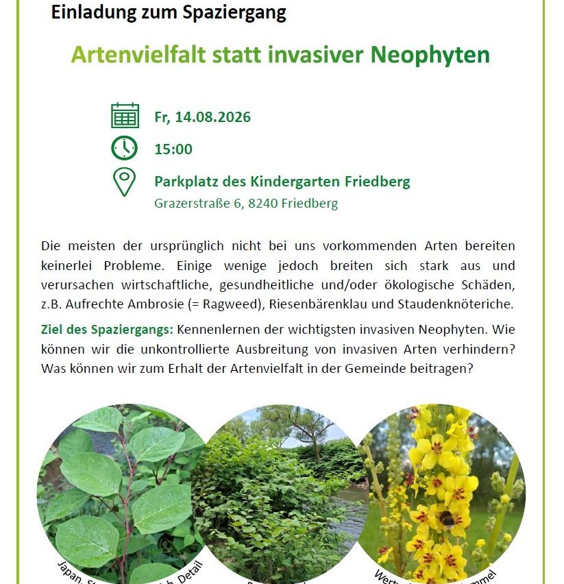 Einladung zum Spaziergang am 14.08.2026 um 15:00 Uhr am Parkplatz des Kindergartens Friedberg. Ziel ist es, invasive Pflanzenarten und deren Auswirkungen auf die lokale Biodiversität zu identifizieren und zu diskutieren.