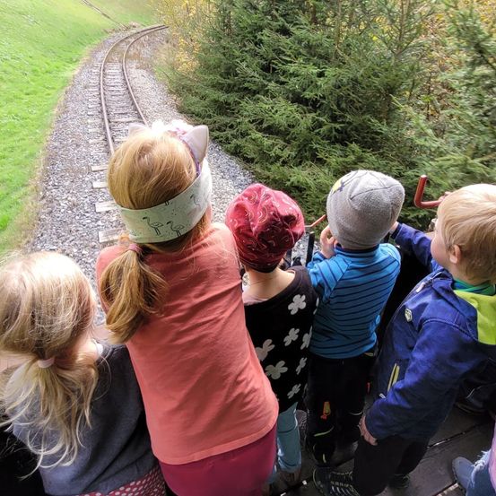 Bild enthält, Photography, Grass, Person, Portrait, Park, Vegetation, Tree, Boy, Child, Male