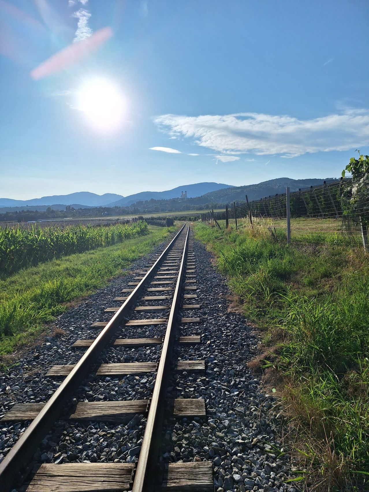 Eine Eisenbahnstrecke durchquert ein saftiges grünes Feld mit Bergen in der Ferne unter einem strahlenden Sonnenschein.