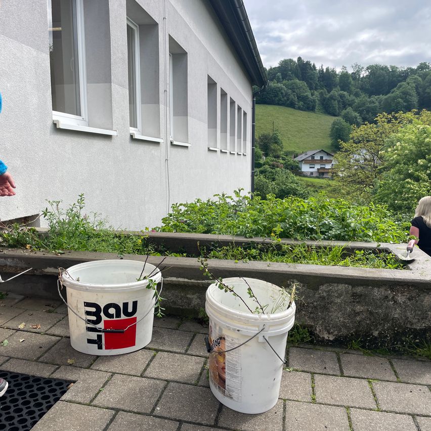 Zwei weiße Eimer mit Pflanzen stehen auf einem Ziegelpflaster vor einem Gebäude mit einem Garten. Hinter dem Gebäude befindet sich ein grüner Hügel mit Häusern.