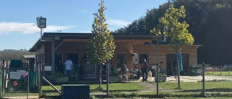 Bild enthält, Person, Baseball, Baseball Game, Sport, Dog, Mammal, Pet, Architecture, Building, Housing