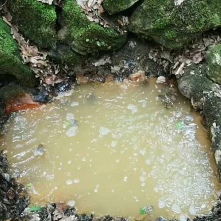 v1_migrated_image_34113996