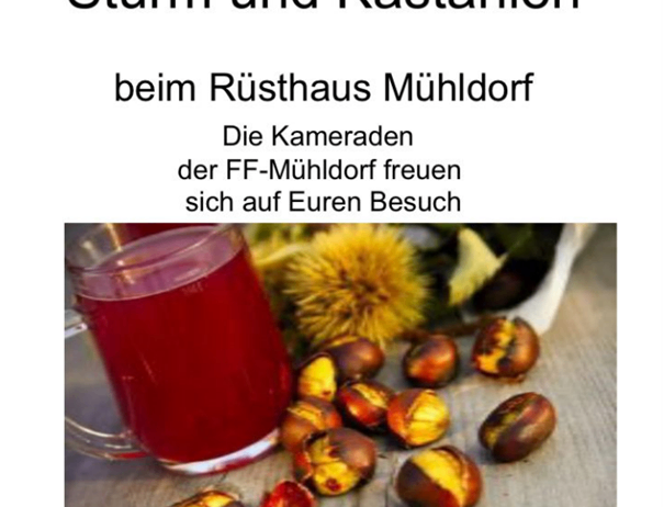 Bild enthält, Food, Nut, Plant, Produce, Vegetable, Beverage, Cup