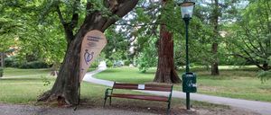 Eine Parkbank unter einem Baum mit einem Banner für Gemeindekrankenpflege. Ein Lampenpfosten und ein Mülleimer sind in der Nähe.