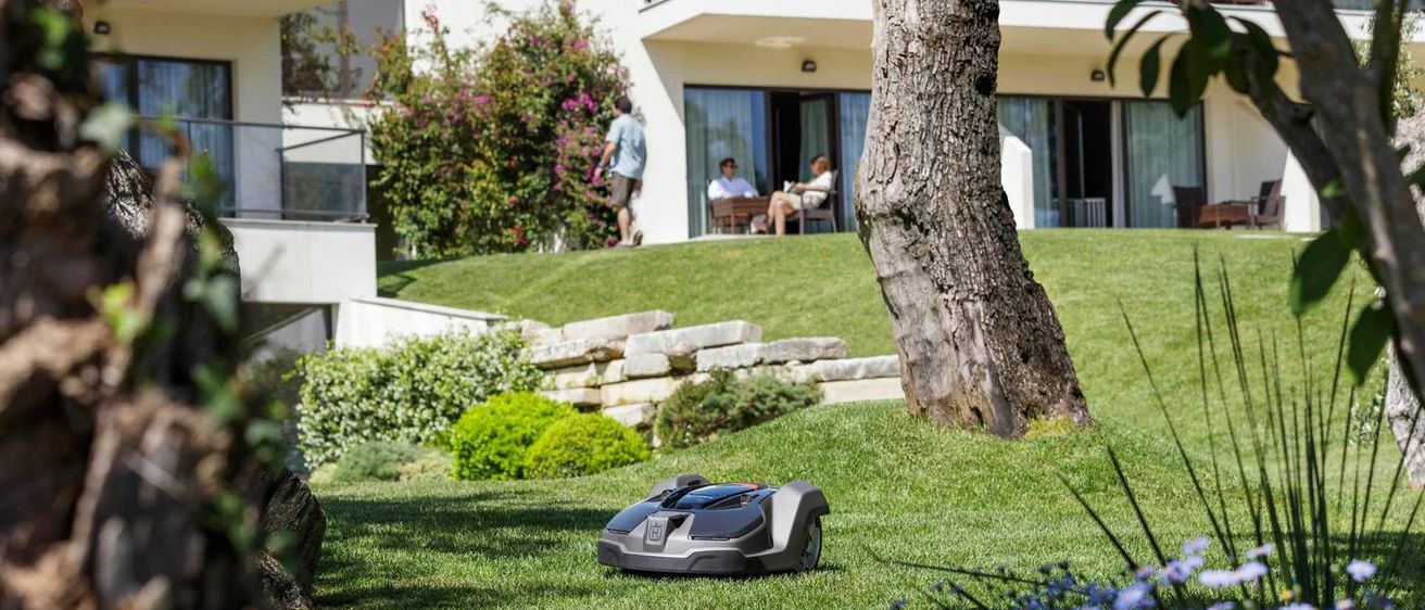 v1_migrated_image_42294605