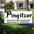 Pingitzer-Logo