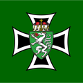 Die Flagge zeigt ein weißes Kreuz auf grünem Hintergrund, mit einem rot-weißen heraldischen Schild in der Mitte, der einen weißen Löwen mit roter Zunge und einem Kreuz auf dem Kopf zeigt.