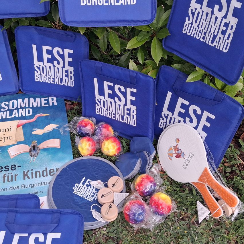 Verschiedene blaue Taschen und ein Buch mit dem Titel 'Lese-Sommer Burgenland' liegen auf dem Rasen. Es gibt bunte Bälle und einen Schläger mit einem Comic-Charakter.