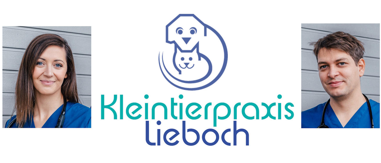 Logo für Kleintierpraxis Lieboch mit einem blauen Kreis, in dem ein Hund und eine Katze drin sind, beide lächeln. Der Text 'Kleintierpraxis Lieboch' steht in Blau unter dem Kreis.