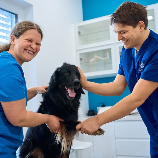 Zwei Tierärzte lächeln, während sie einen schwarzen Hund in einer Klinik halten.