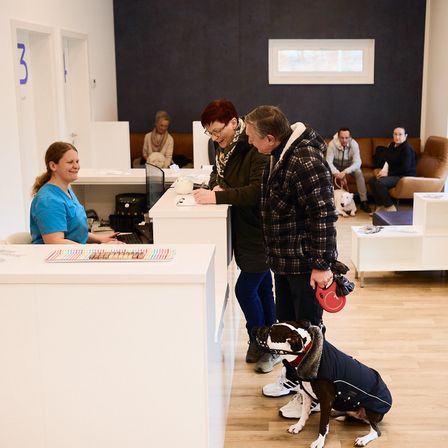 Eine Frau in einem blauen Shirt steht an einer Rezeptionstheke und spricht mit einem Mann und einer Frau in Winterkleidung. Ein Hund mit einem Mantel sitzt auf dem Boden.