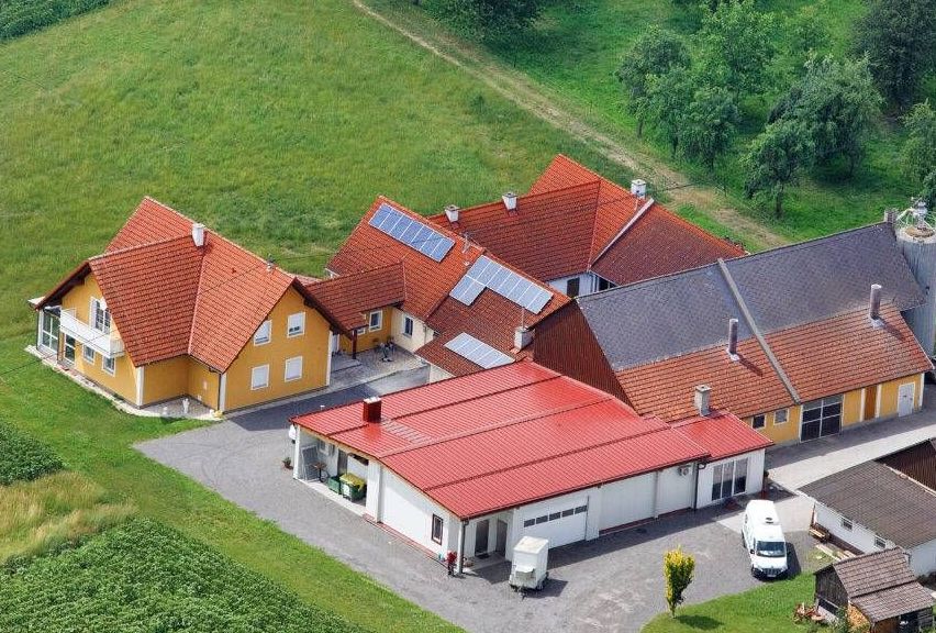 v1_migrated_image_41649581