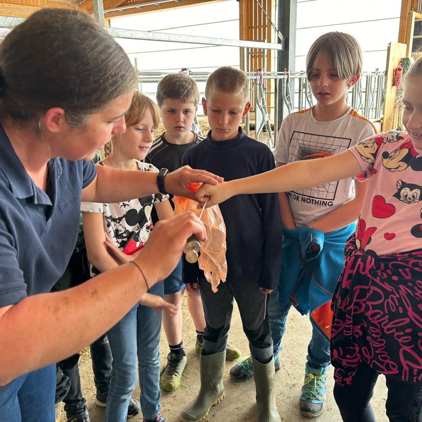 Bild enthält, People, Person, Adult, Male, Man