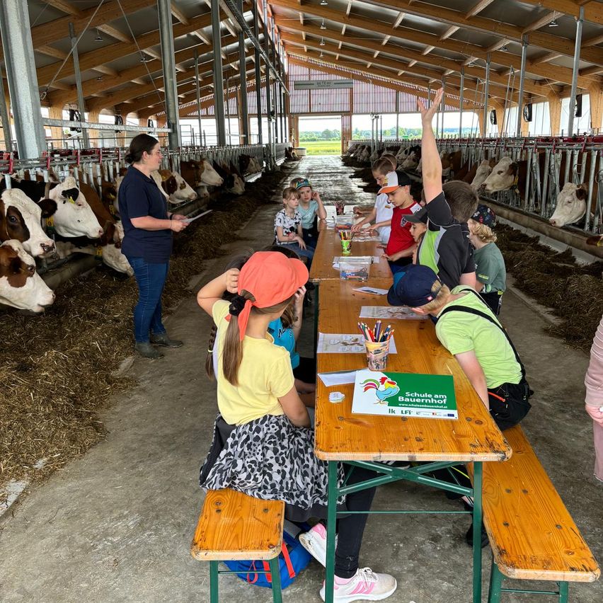 Bild enthält, Child, Female, Girl, Person, Adult, Male, Man, Factory, Cattle, Wood