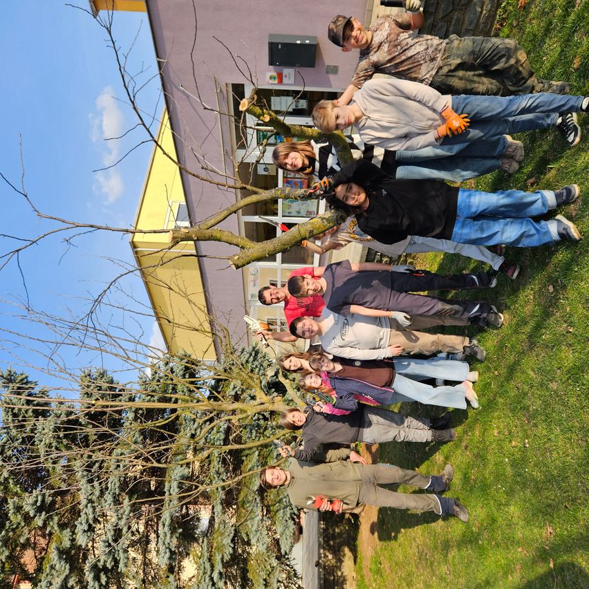 A group of people are gathered around a tree, likely trimming it. They are wearing gloves and some are wearing sneakers. The tree is in front of a building.