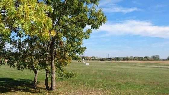 v1_migrated_image_68217368