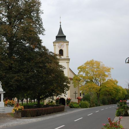 v1_migrated_image_55330335