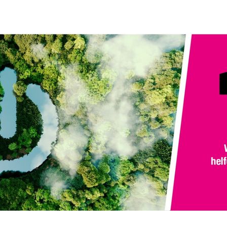 Eine Vogelperspektive eines üppigen Waldes mit einem Fluss, der sich durch ihn schlängelt. Nebel schwebt über den Bäumen und schafft eine friedliche Atmosphäre. Das Wort 'help' ist auf einem rosa Hintergrund zu sehen.