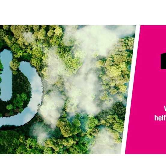 Eine Vogelperspektive eines üppigen Waldes mit einem Fluss, der sich durch ihn schlängelt. Nebel schwebt über den Bäumen und schafft eine friedliche Atmosphäre. Das Wort 'help' ist auf einem rosa Hintergrund zu sehen.