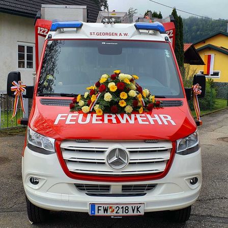 Bild enthält, Bumper, Transportation, Vehicle, Moving Van, Van, Flower, Plant