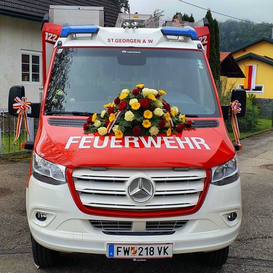 Bild enthält, Bumper, Transportation, Vehicle, Moving Van, Van, Flower, Plant