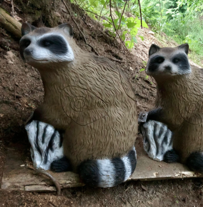 Zwei Waschbär-Statuen sitzen auf einer Holzplanke in einem bewaldeten Gebiet. Beide haben schwarzes und weißes Fell und gestreifte Füße.