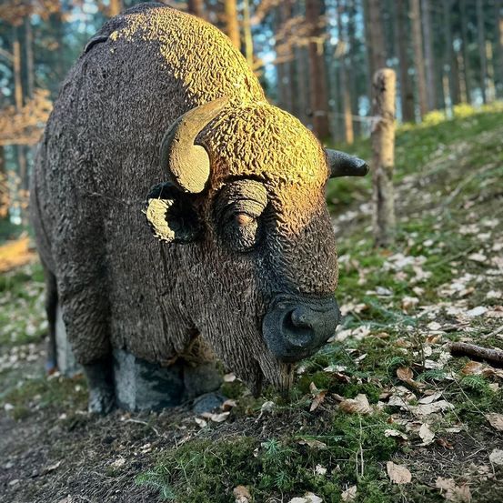 Bild eines 3D Ziel BISON 