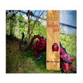 Ein roter Drache ruht neben einem Holzbrett mit 'Parcour Früchten park' in Rot geschrieben. Das Brett hat ein Loch mit einem Apfel darin und ein Pfeil zeigt darauf.