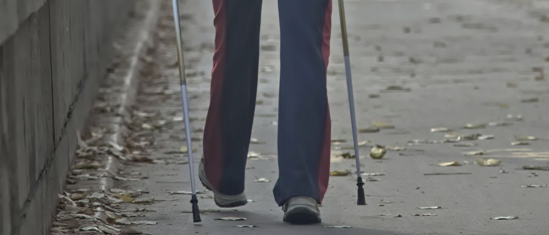 Eine Person geht mit Skistöcken auf einem Pfad, in Winterkleidung. Der Weg ist von Bäumen umgeben, und der Himmel ist mit Nebel bedeckt.