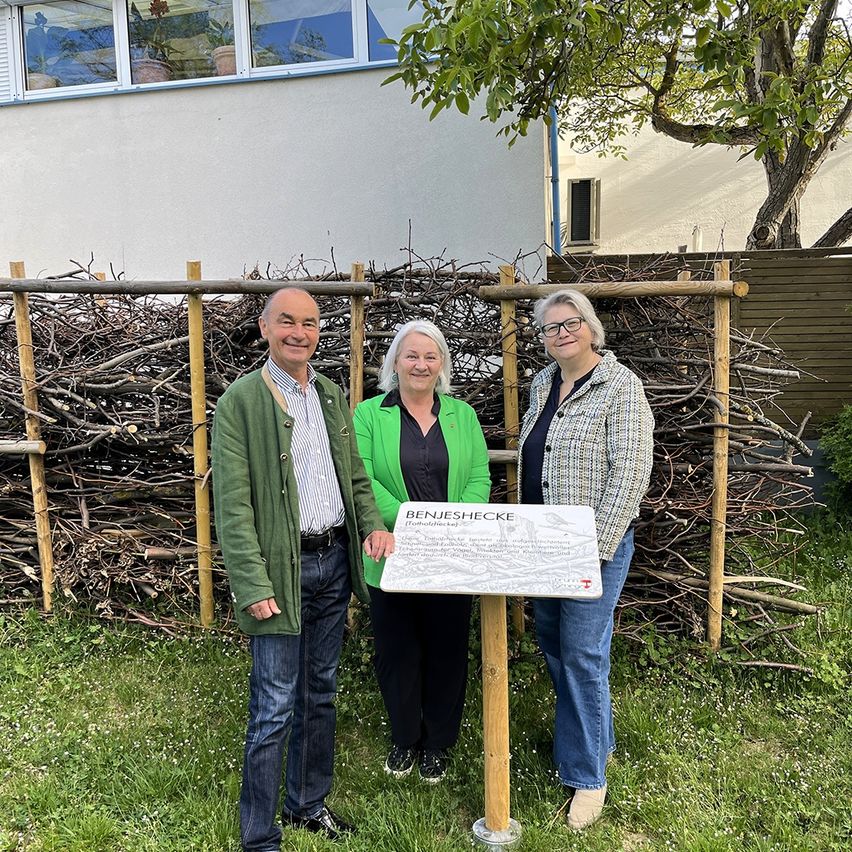 Bgm Dr. Andreas Linhart, gf GRin Gabriele Steiner (Referat für Umwelt und Mobilität) und Bgm-Stellvertreterin gf GRin Mag. Andrea Lorenz (Referat für Soziales und Gesundheit) bei der Benjeshecke am Lercherlberg.