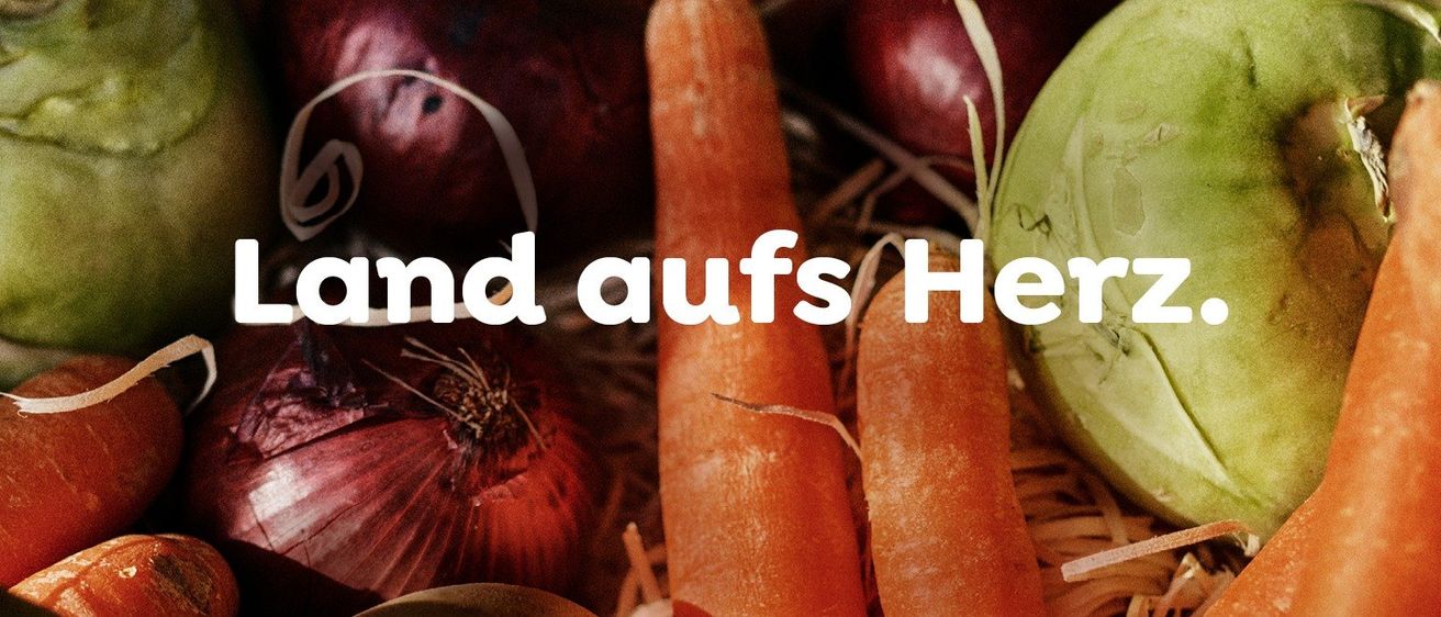 Eine Nahaufnahme verschiedener Gemüsesorten, darunter Karotten, Zwiebeln und Kartoffeln.