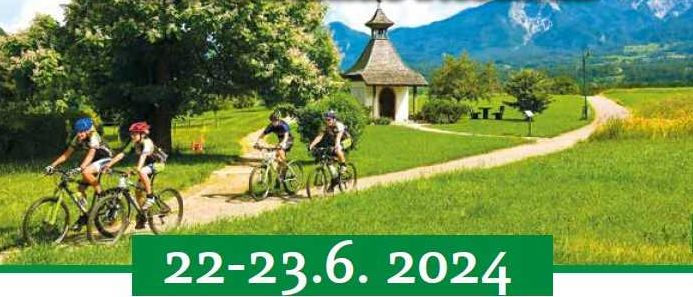 Grass, Nature, Outdoors, Park, Path, Person, Bicycle, Vehicle, Vegetation, Cycling
