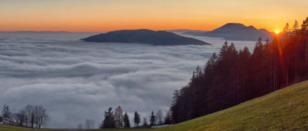 v1_migrated_image_92445138