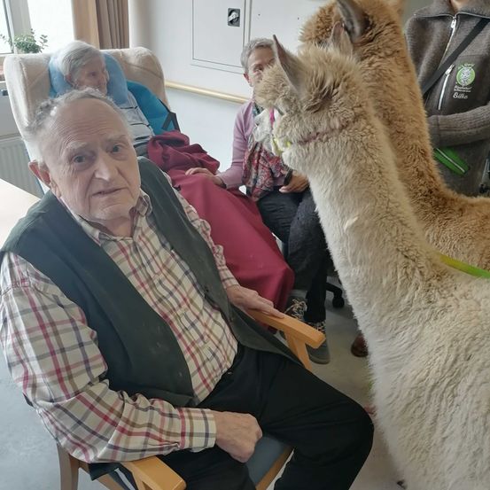 Bild enthält, Person, Photography, Portrait, Adult, Male, Man, Female, Woman, Photobombing, Sitting
