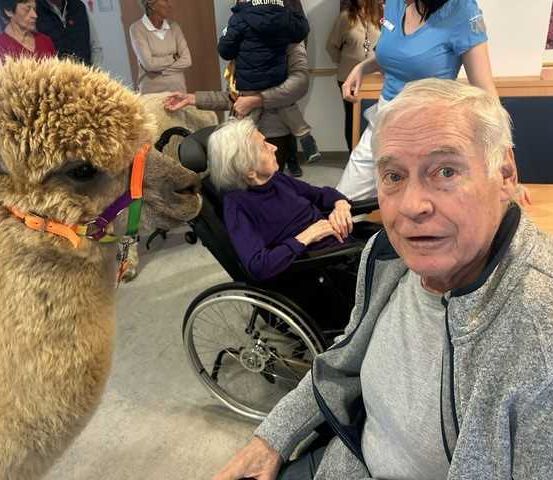 Bild enthält, Adult, Female, Person, Woman, Furniture, Male, Man, Chair, Baby, Animal