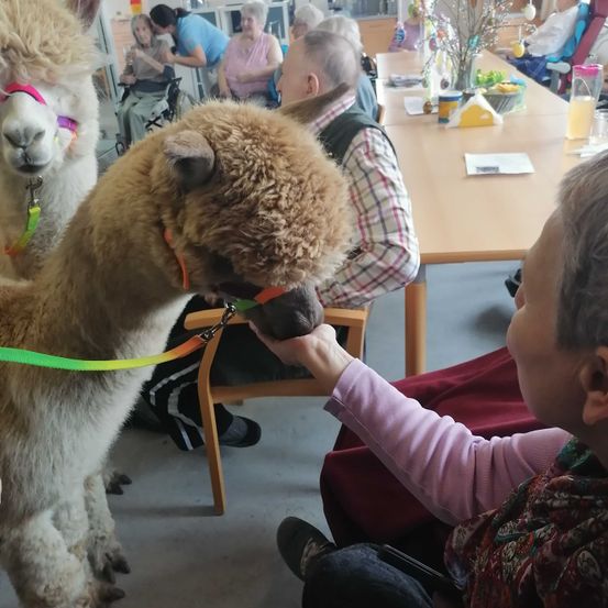 Bild enthält, Table, Boy, Child, Male, Person, Dining Table, Dog, Face, Adult, Man