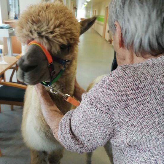 Bild enthält, Adult, Male, Man, Person, Animal, Mammal, Head