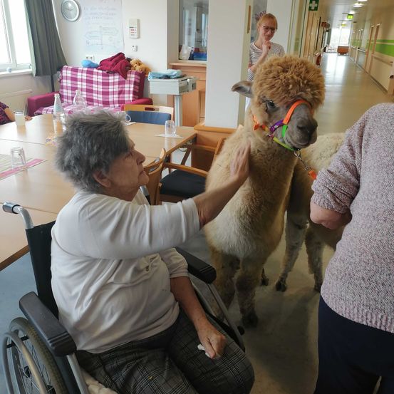Bild enthält, Person, Photography, Portrait, Furniture, Chair, Adult, Male, Man, Dining Table, Wheelchair