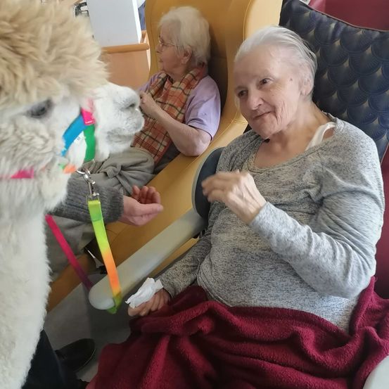 Bild enthält, Person, Face, Head, Dog, Mammal, Adult, Male, Man