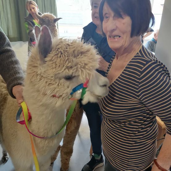 Bild enthält, Adult, Female, Person, Woman, Photography, Portrait, Animal, Mammal, Dog, Bracelet