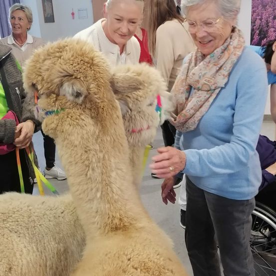 Bild enthält, Person, Photobombing, Ring, Adult, Female, Woman, Lady, Animal, Dog, Photo Frame