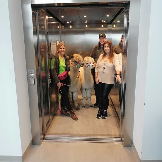 Bild enthält, Indoors, Adult, Female, Person, Woman, Elevator, Clothing, Hat, Jewelry, Necklace