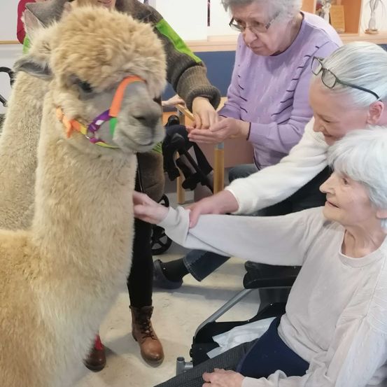 Bild enthält, Adult, Female, Person, Woman, Male, Man, Animal, Dog, Head, Face